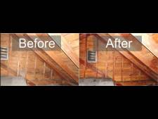 Attic Mold Remediation in PA, NJ, DE
