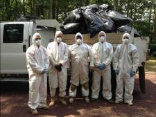 Our Mold Team is Ready for Emergency Mold Services