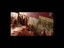 Mold Services Company New Jersey, Pennsylvania, Delaware