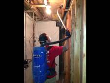 Expert Mold Services