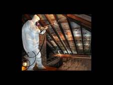 Mold Remediation New Jersey, Pennsylvania, Delaware