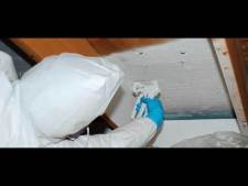 Attic Mold Removal