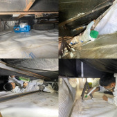 Mold-Remediation-Removal-Restoration_4