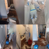 Mold-Remediation-Removal-Restoration_6