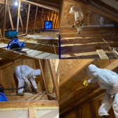 Mold-Remediation-Removal-Restoration_7