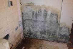 Toxic Mold Services in New Jersey, Pennsylvania, Delaware