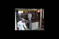 Mold Removal Company in Pennsylvania, New Jersey, Delaware