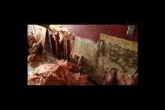 Mold Services Company New Jersey, Pennsylvania, Delaware