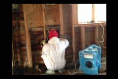 How To Treat Mold In Your Home