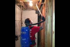 Expert Mold Services