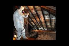 Mold Remediation New Jersey, Pennsylvania, Delaware