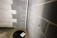 495372385_1273702578098311_8892444174300331758_n