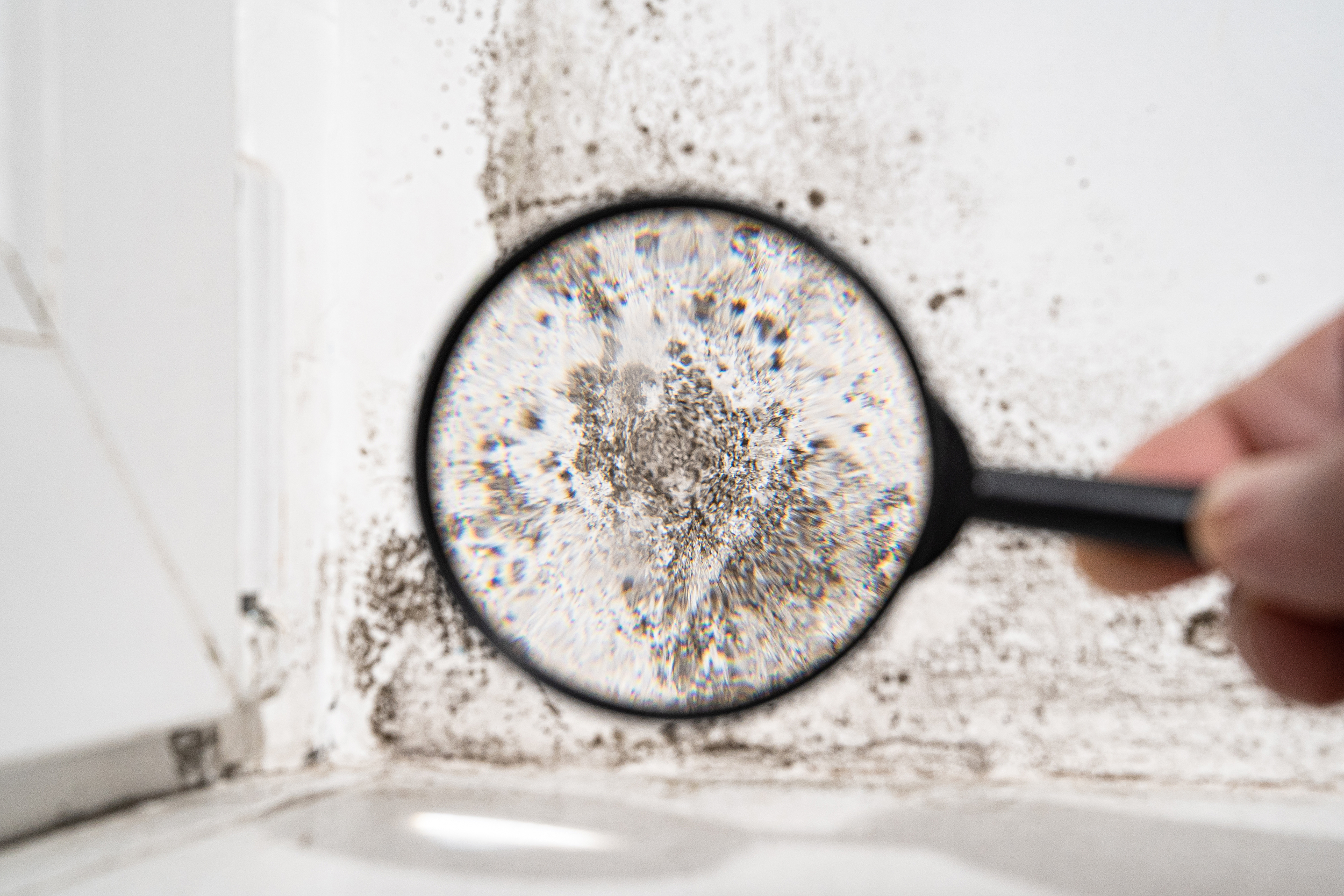 Mold removal in, Cinnaminson, Riverton, Delran, Palmyra, Delanco, Pennsauken, Moorestown, Maple Shade, Merchantville