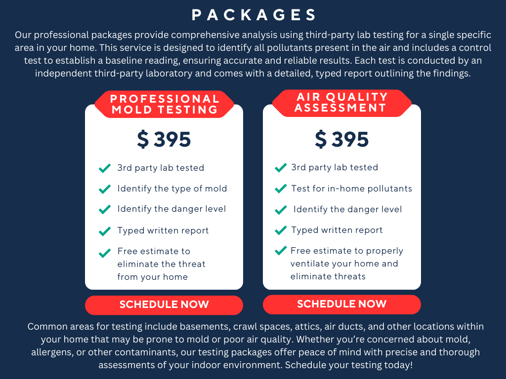 Basements Love Us, Mold Services in NJ, PA, DE